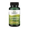 Lactobacillus acidophilus Swanson (100 kapsula)